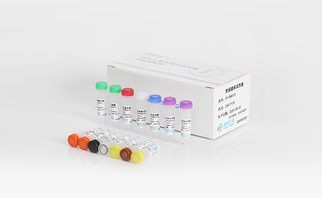 常规建库试剂盒