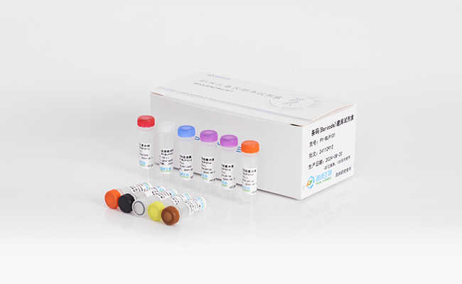 条码（Barcode）建库试剂盒